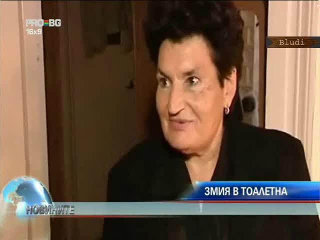 Анаконда се появи в тоалетната на жена 