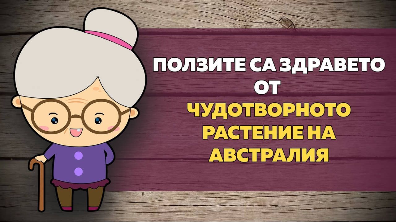 Ползите за здравето от чудотворното растение на Австралия