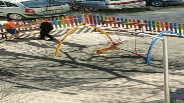 Вандали