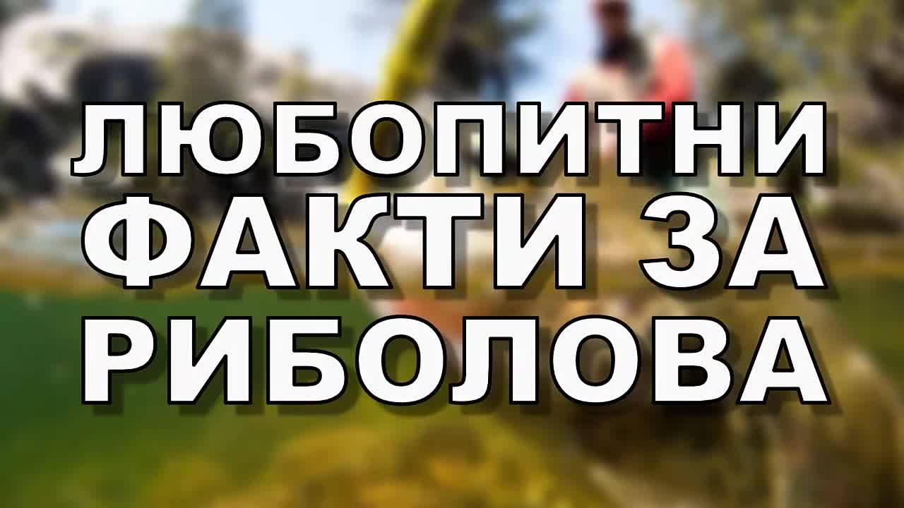 Любопитни факти за риболова