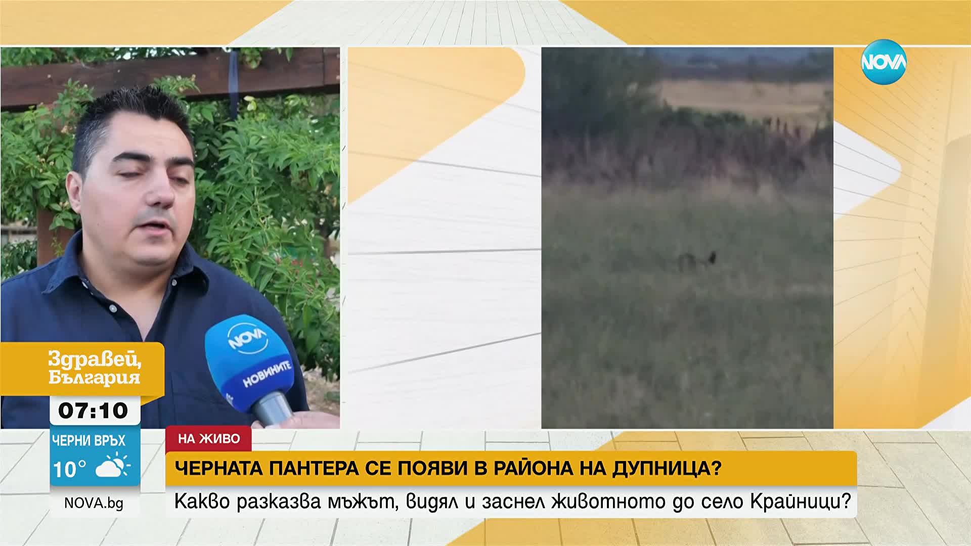 Пред NOVA: Говори човекът, заснел черния леопард край дупнишкото село Крайници
