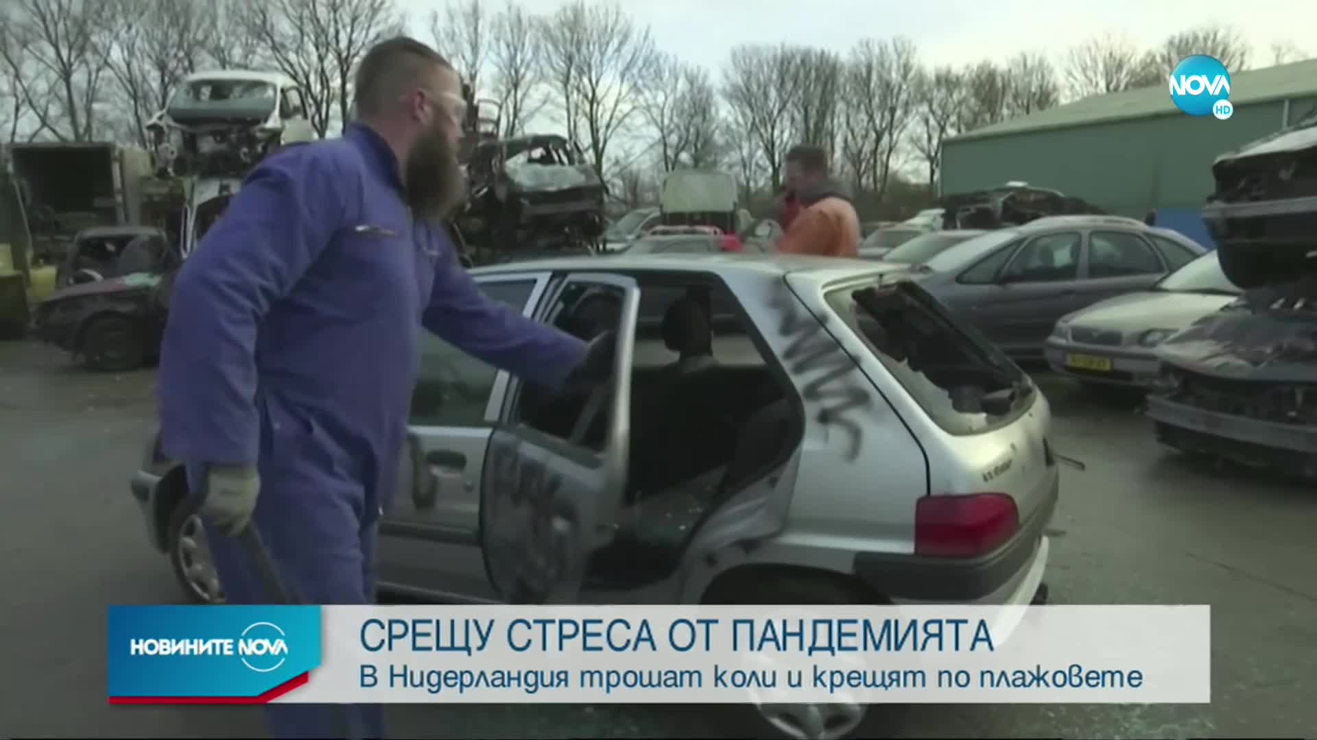 В Нидерландия борят стреса от COVID по нестандартен начин