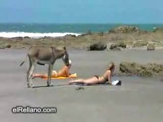 Някой Май И Се Точи!!!!