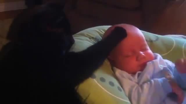 Котка успокоява бебе:)