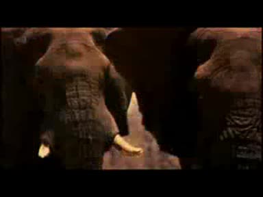 Земята филм на BBC 2009
