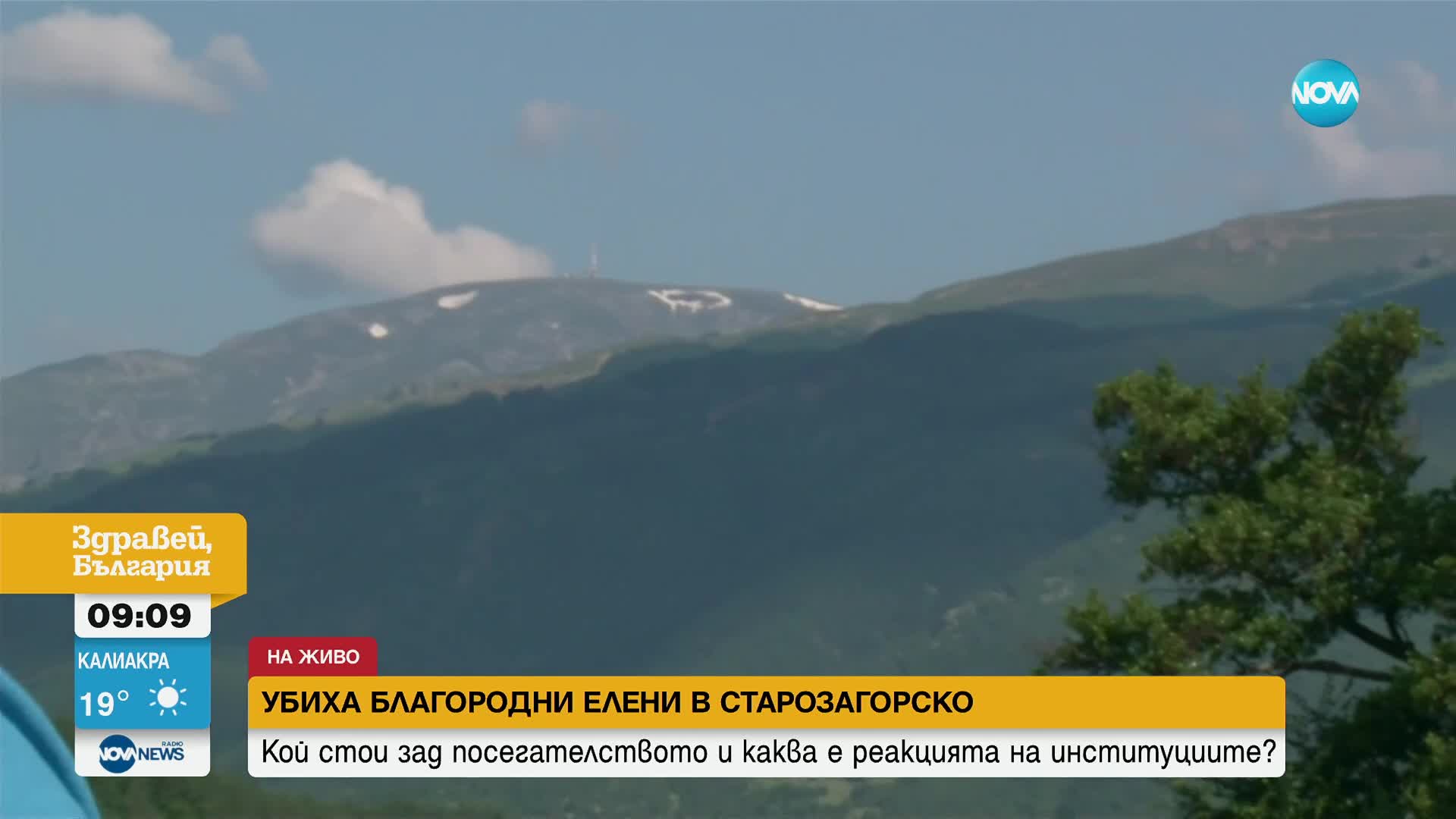 Кой стои зад посегателството на два благородни елена в Старозагордско