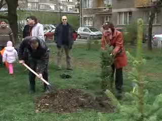 Дарик засади 25 дръвчета в парка „Заимов”