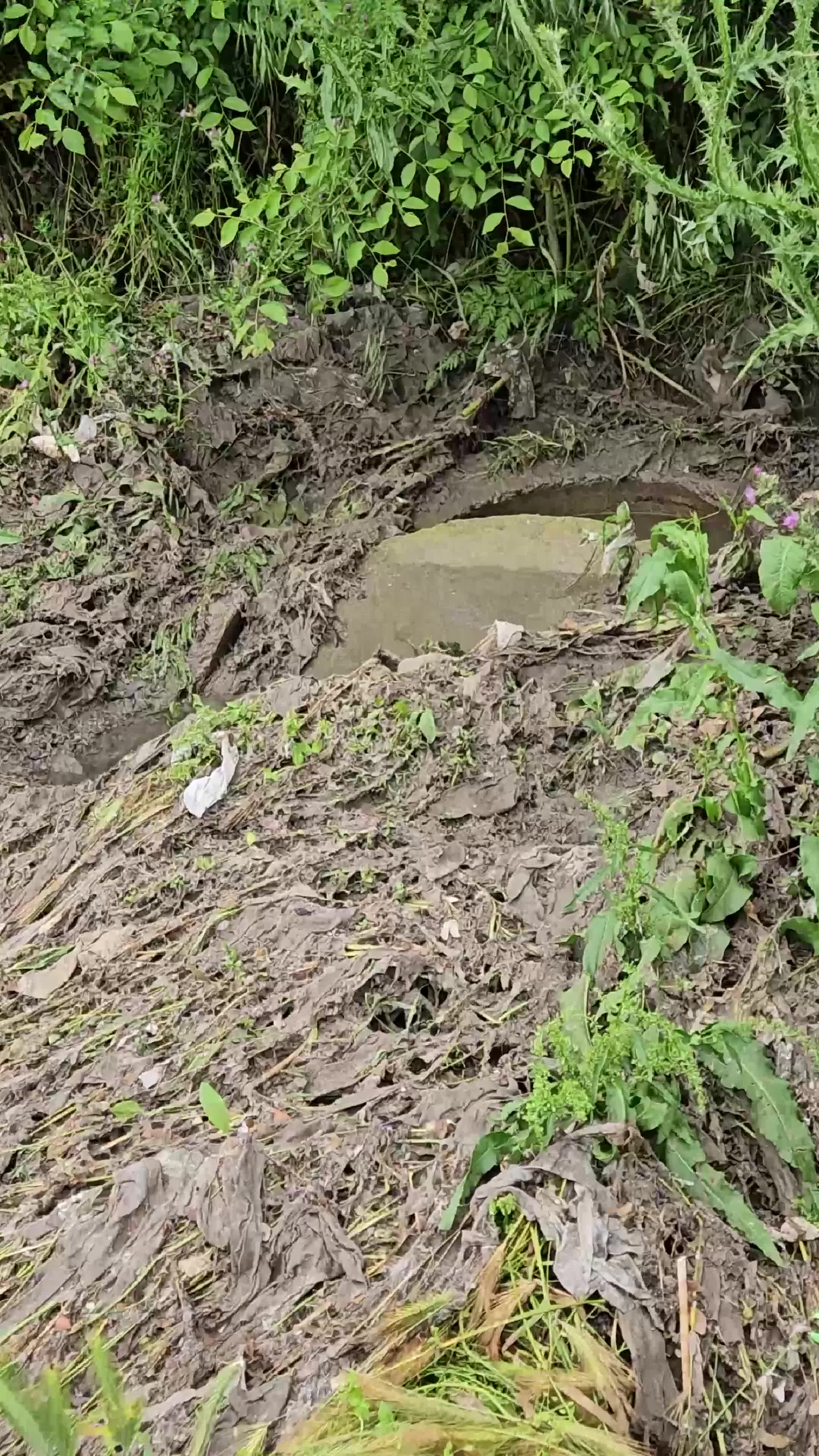 Изливане на фекални води на плажа в Царево