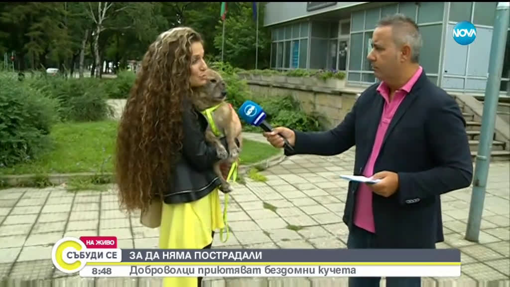 Доброволци основаха кучешки приют в Козлодуй