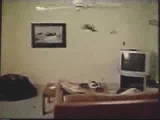 Луди Котки Ново :)