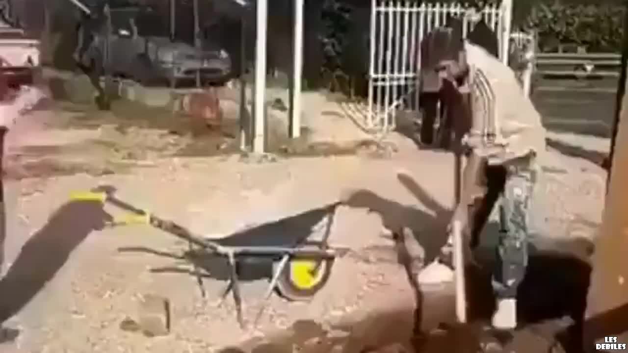 " Добра" работа в екип