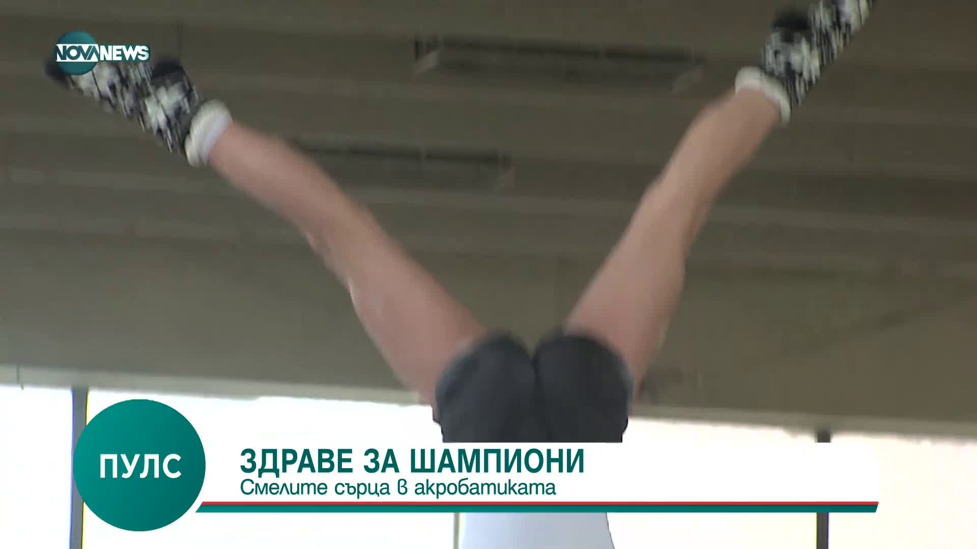Здраве за шампиони