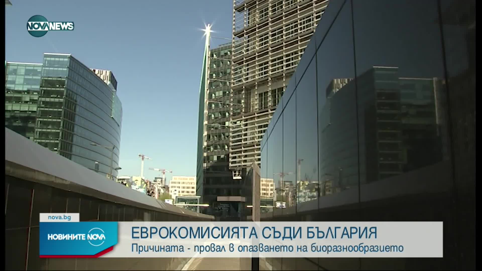 ЕК ще съди България заради неопазване на биоразнообразието