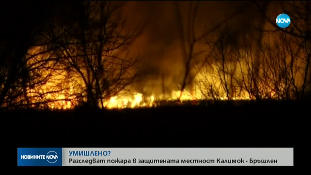 Започва разследване на пожара, който бушува в Калимок-Бръшлен