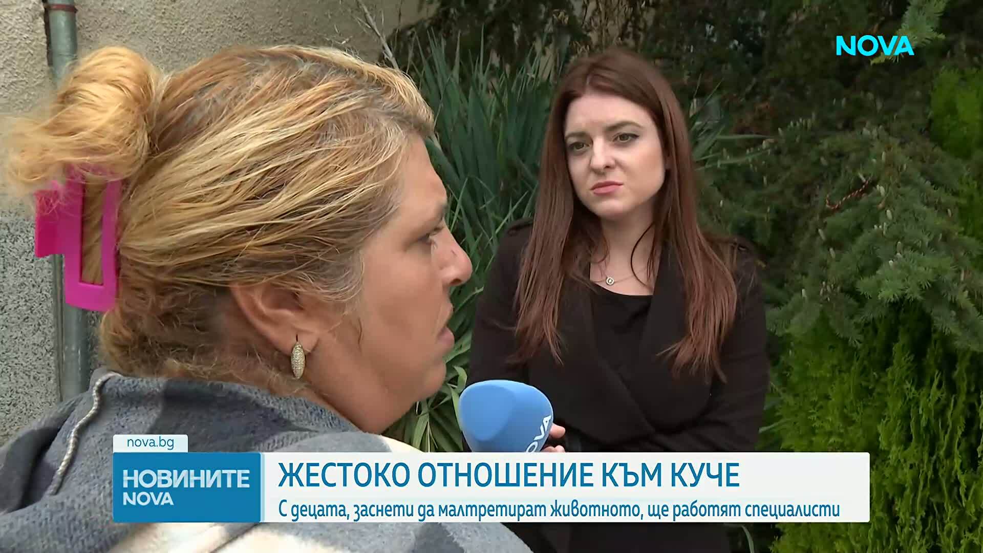Проверяват случай на деца, били, влачили и душили куче в Пазарджишко
