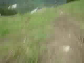 Шус По Лалето С Колело