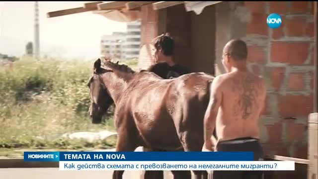 Новините на NOVA (25.06.2017 - обедна емисия)