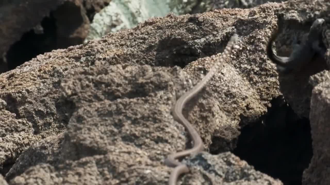 Една сцена, която ще ви спре дъха