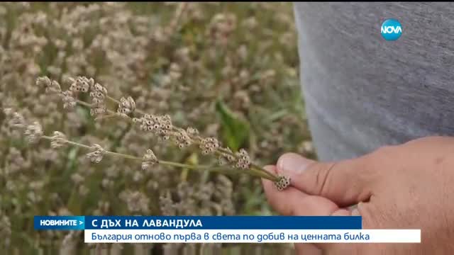 Новините на NOVA (19.07.2016 - централна)