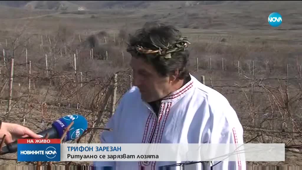 Църквата почита Свети Трифон