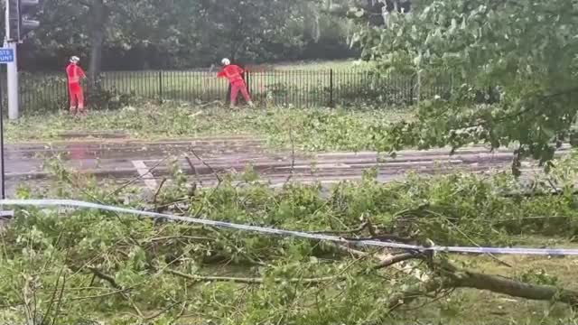 Буря удари части от Англия, предизвика хаос в транспорта
