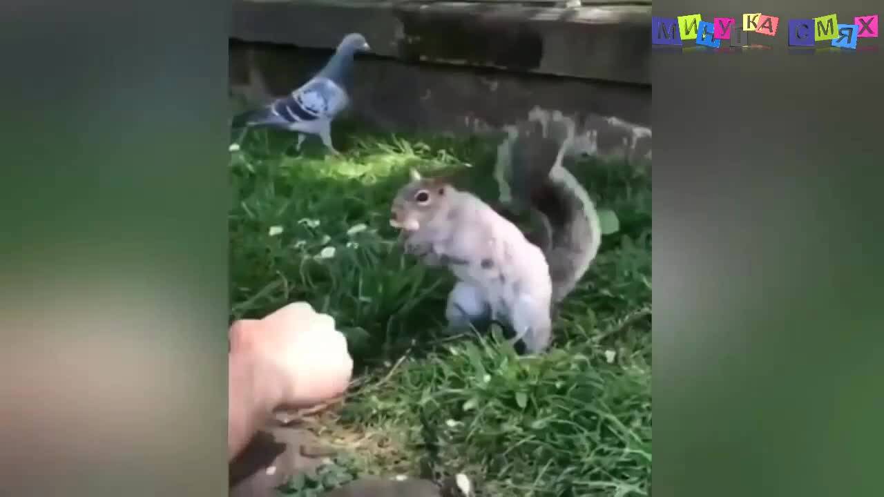 Смешни издънки, които ще ви разсмеят до сълзи!