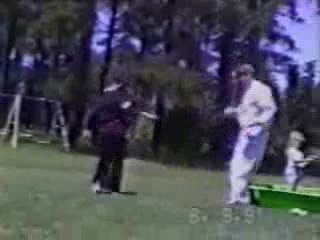 Много Смешни Случки