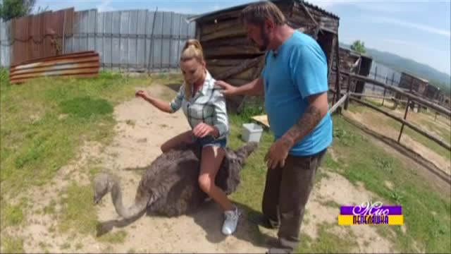 Елена Кучкова срещу щраусите във финалния епизод на Мис Пепеляшка (28.05.2015) - част 1