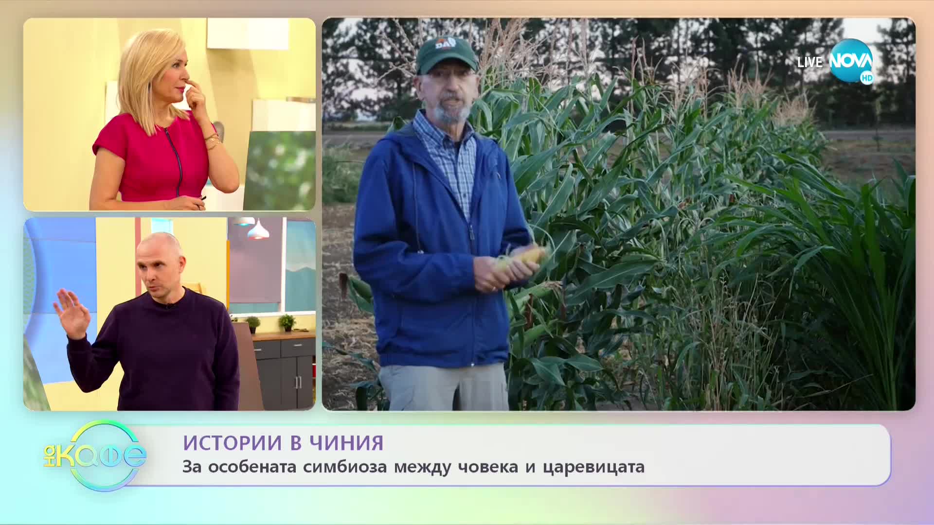 „Истории в чиния“: За особената симбиоза между царевицата и човека