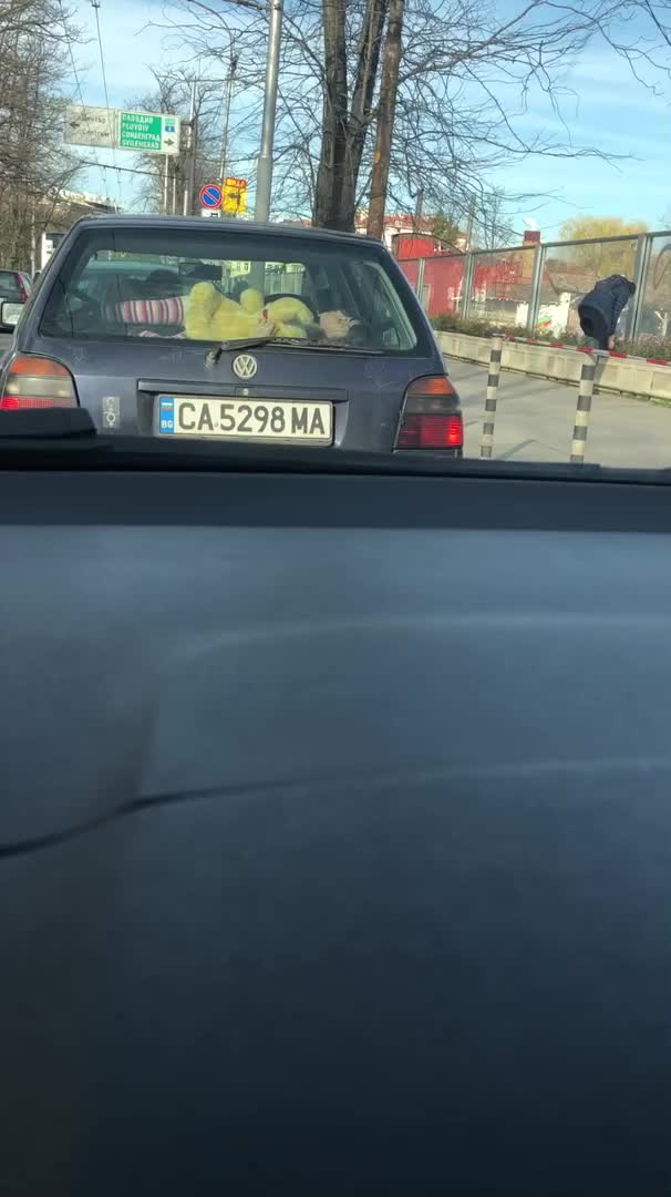 Абсурдно возене на дете