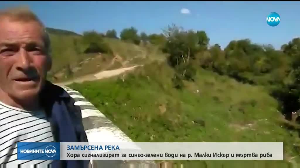 Новините на NOVA (10.08.2018 - централна емисия)