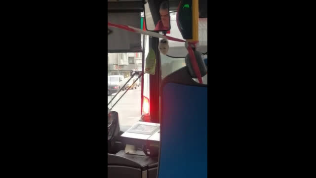 "Моята новина": Шофьор на автобус на линия 148 във Варна