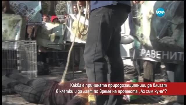Защо природозащитниците влязоха в клетки?