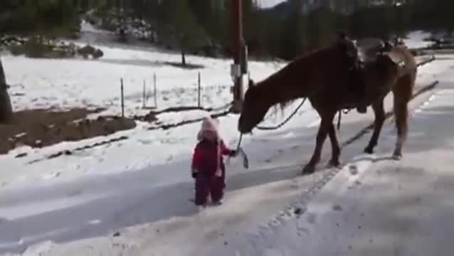 Момиченце води любимият си кон на разходка