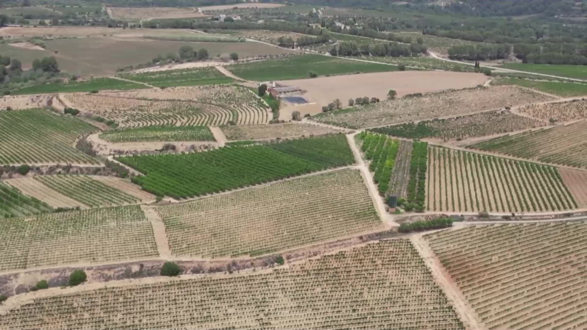 ЗАРАДИ СУШАТА: Извънредно положение и ограничение на потреблението на вода в Каталуния