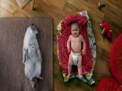 Много смешно ! Котка имитира бебе