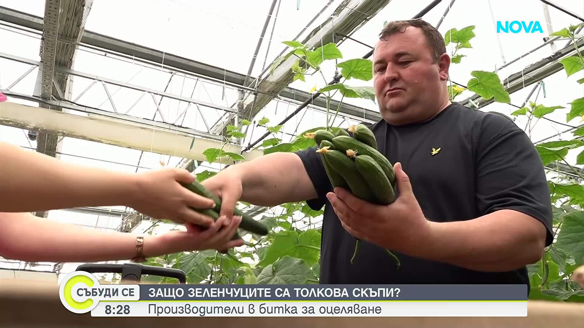 Производители в битка за оцеляване: Защо зеленчуците са толкова скъпи