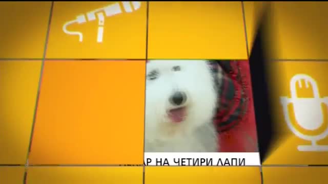 В "Здравей, България" на 27 декември очаквайте