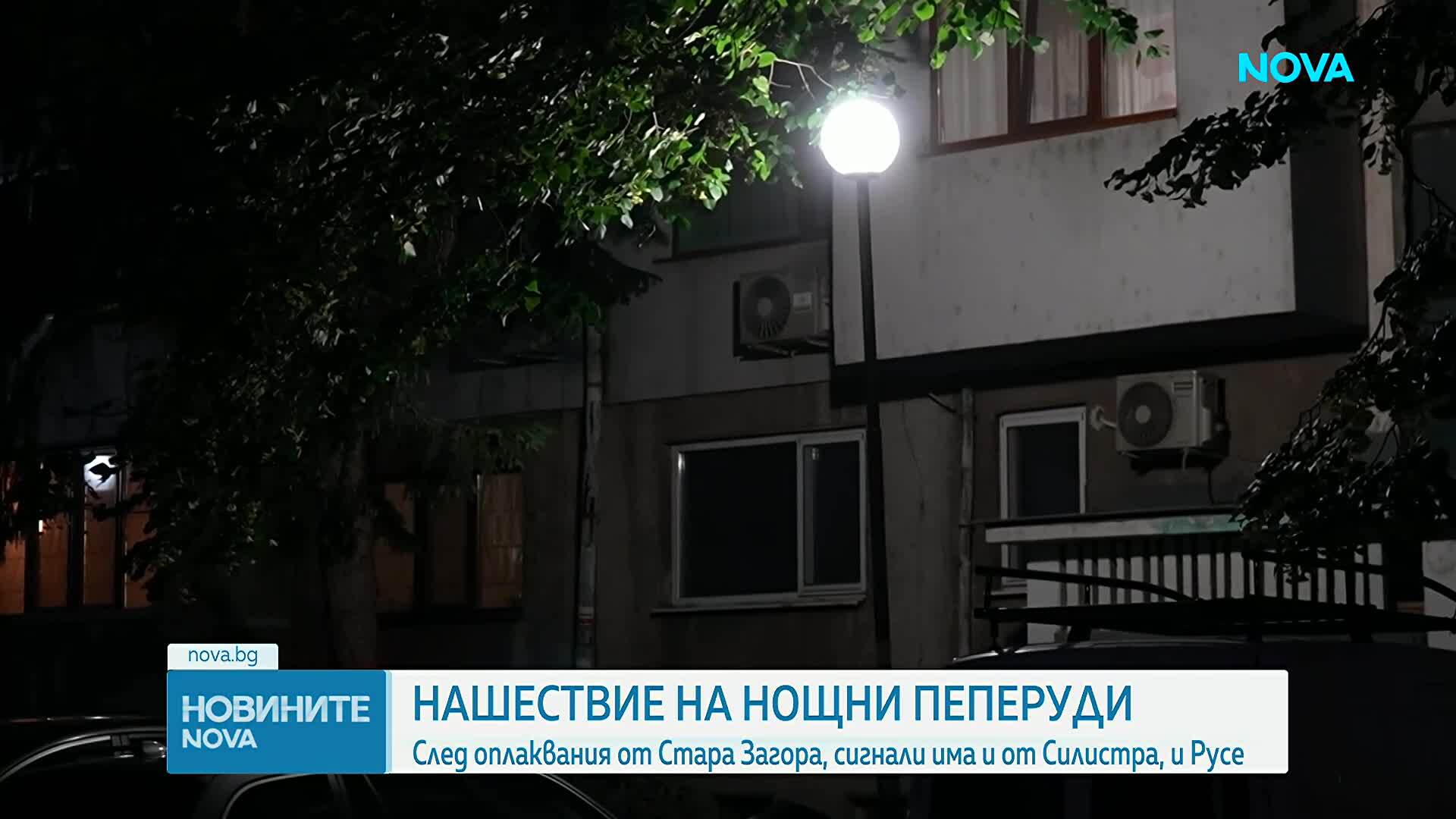 Нашествие на нощни пеперуди : След оплаквания от Стара Загора, сигнали има и от Силистра и Русе
