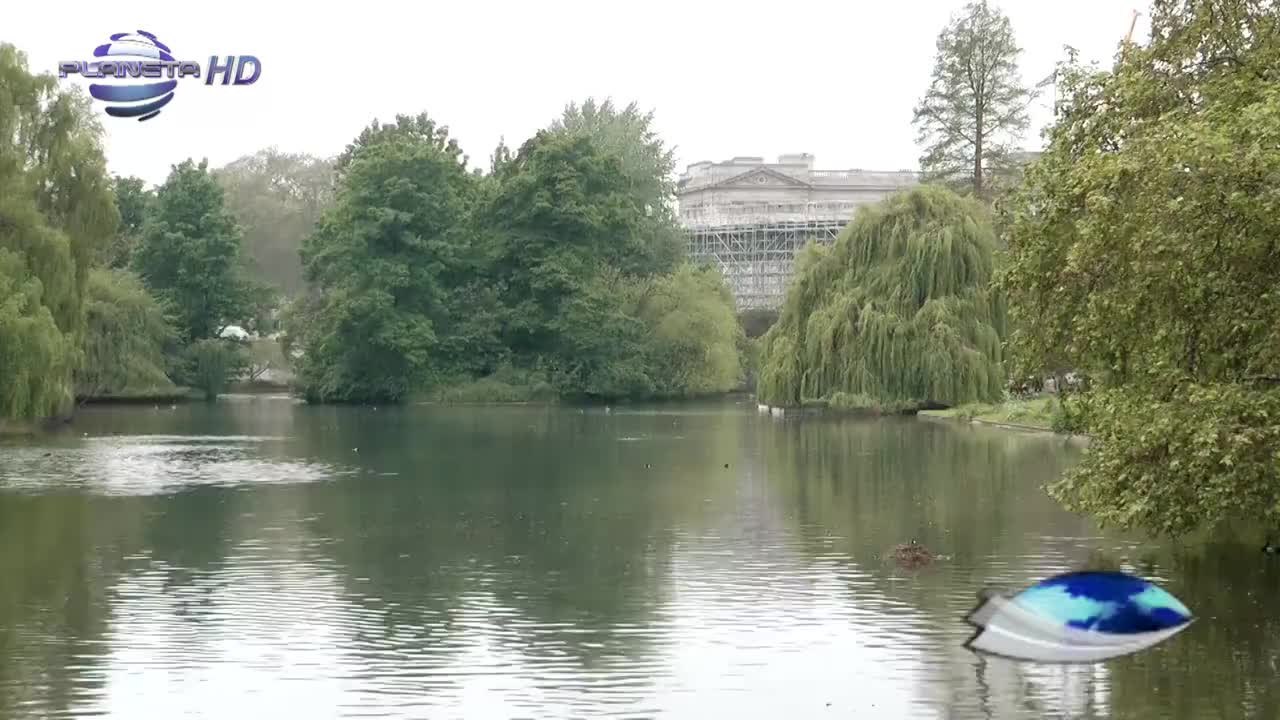 Kralskiyat London Emilia Ako Si Zvezda
