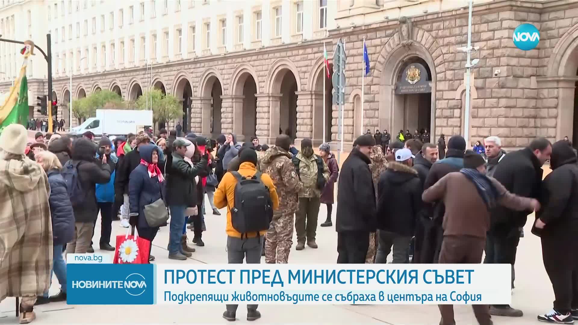 Стопаните на заразените с чума животни излязоха на протест пред Министерския съвет