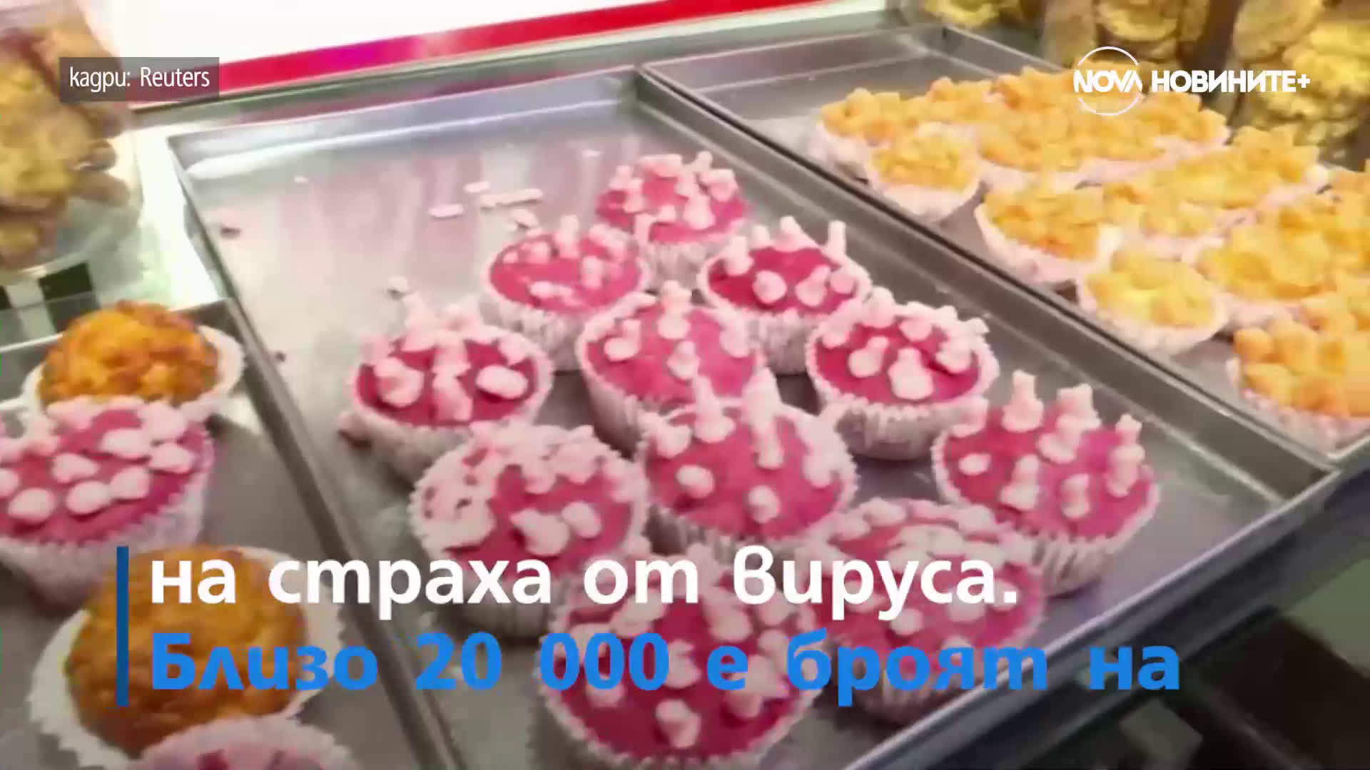 Ботаническа градина предлага виртуални градински обиколки и Сладката страна на вируса