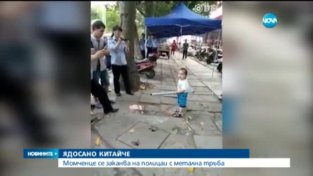 Китайче стана сензация, след като се скара на полицаи