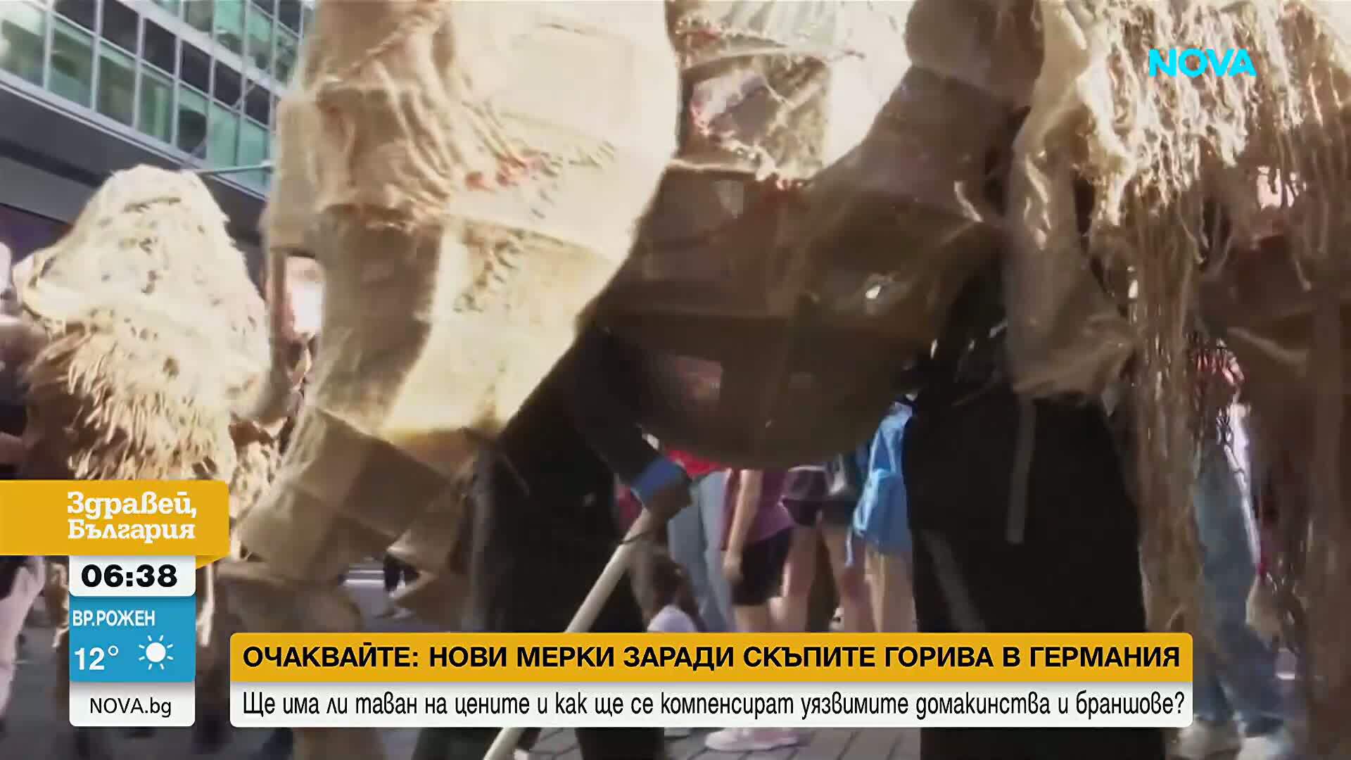 Стадо от 40 гигантски бизона премина по улиците на Ню Йорк