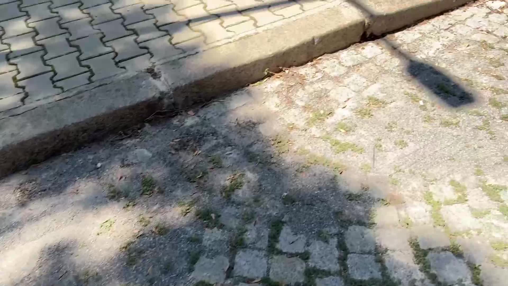 Как мият улиците в София