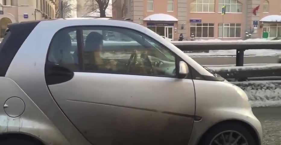 Ето как истинската домакиня кара кола!