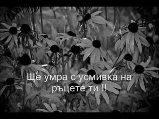 Sinan Sakic - Umrecu S Osmehom Превод