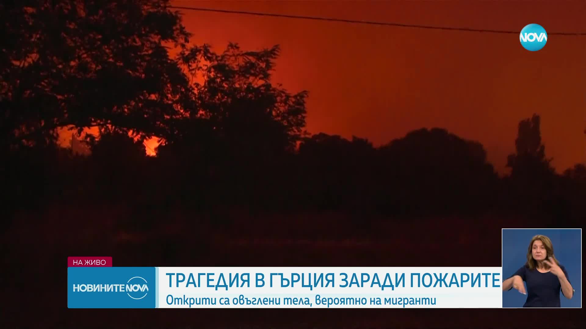 Новините на NOVA (22.08.2023 - лятна късна)