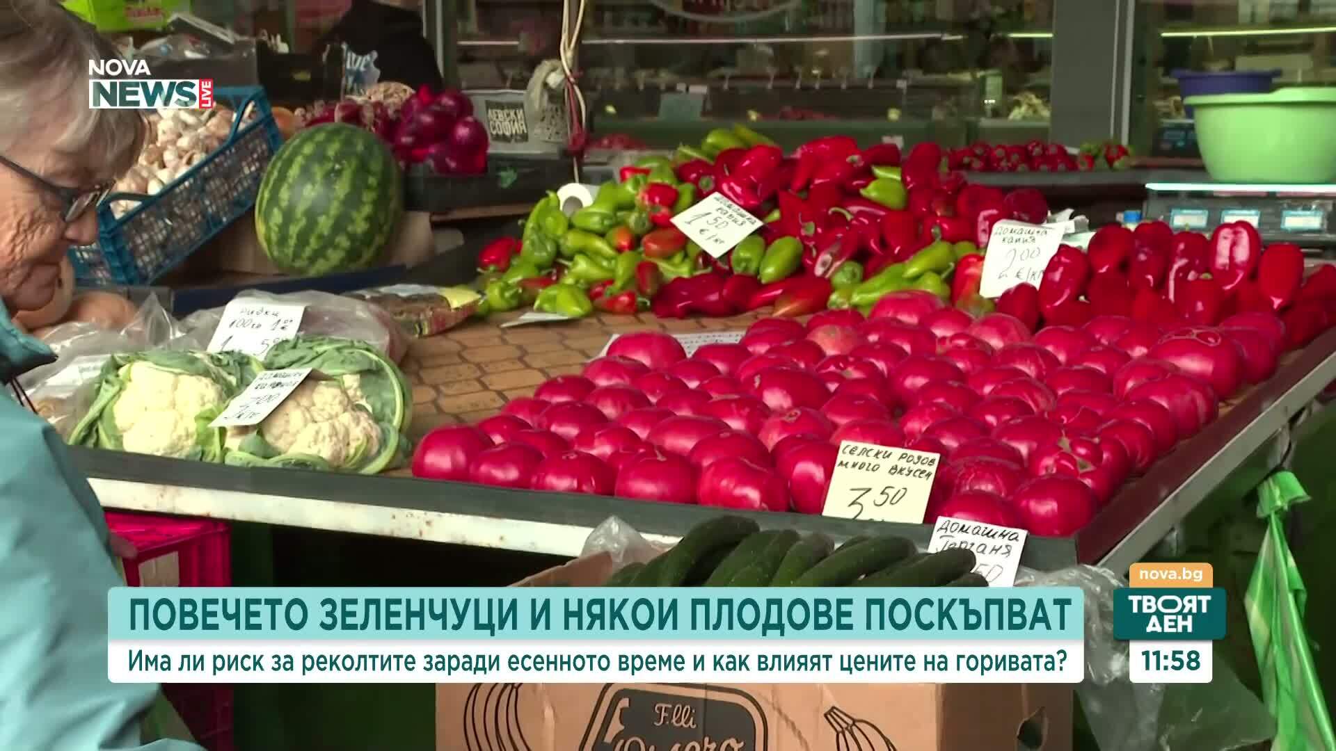 Повечето зеленчуци поскъпват на борсите, доматите с близо 70% за месец
