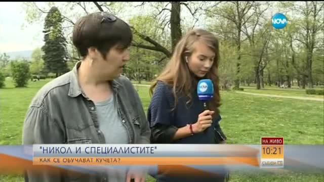 „Никол и специалистите”: Колко е трудно да обучаваш кучета?